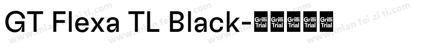 GT Flexa TL Black字体转换